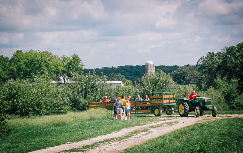 ApplePicking2012__1000947_800px