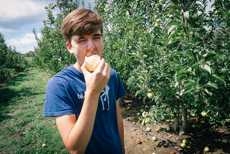 ApplePicking2012__1000961_800px