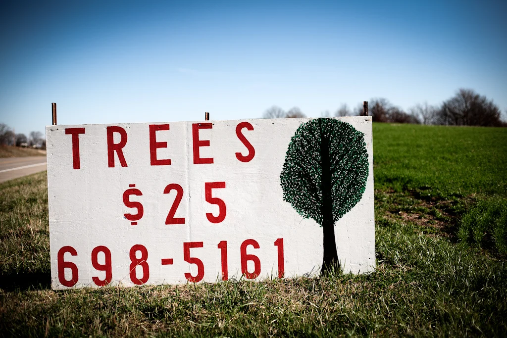 Trees_for_25_dollars_November-24-2011_01.jpg