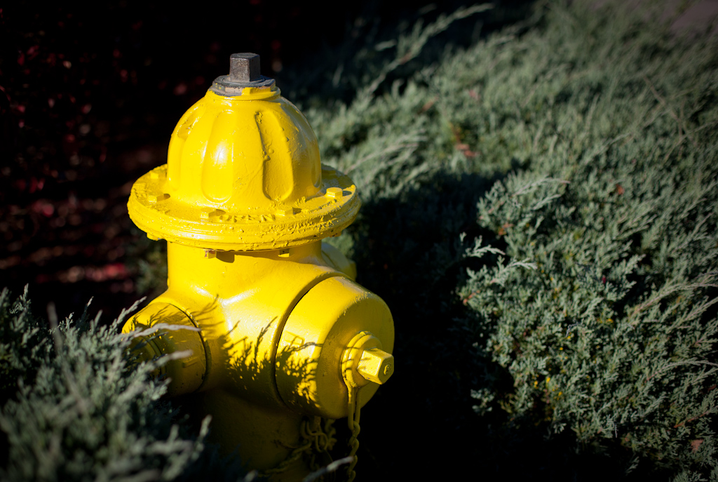 Is This Yellow Enough