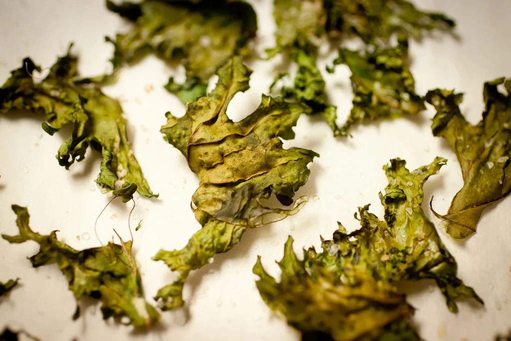Kale_20111126.jpg