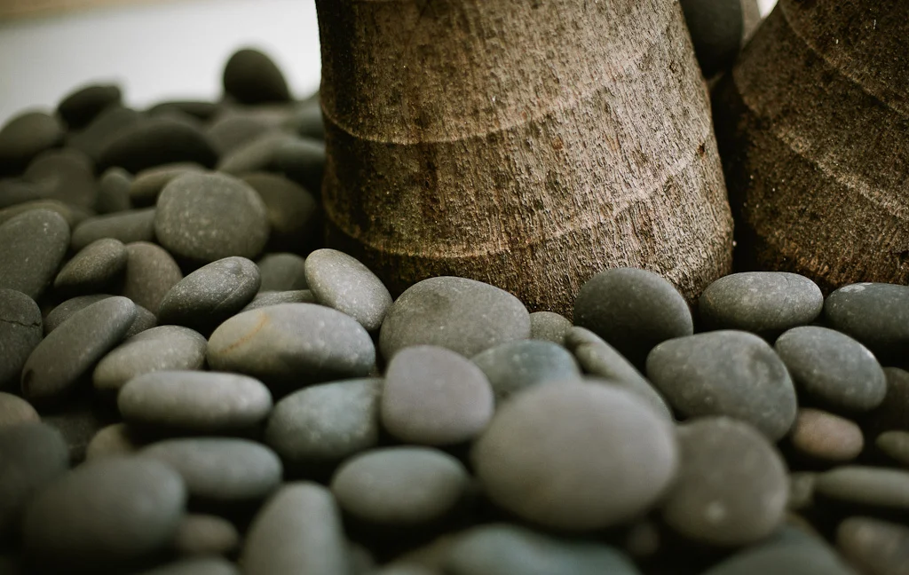 Rocks