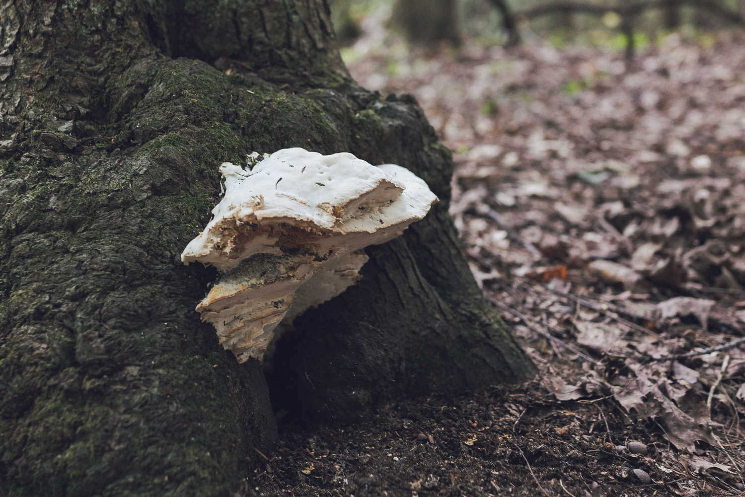 OldMissionPeninsula2016-00867.jpg