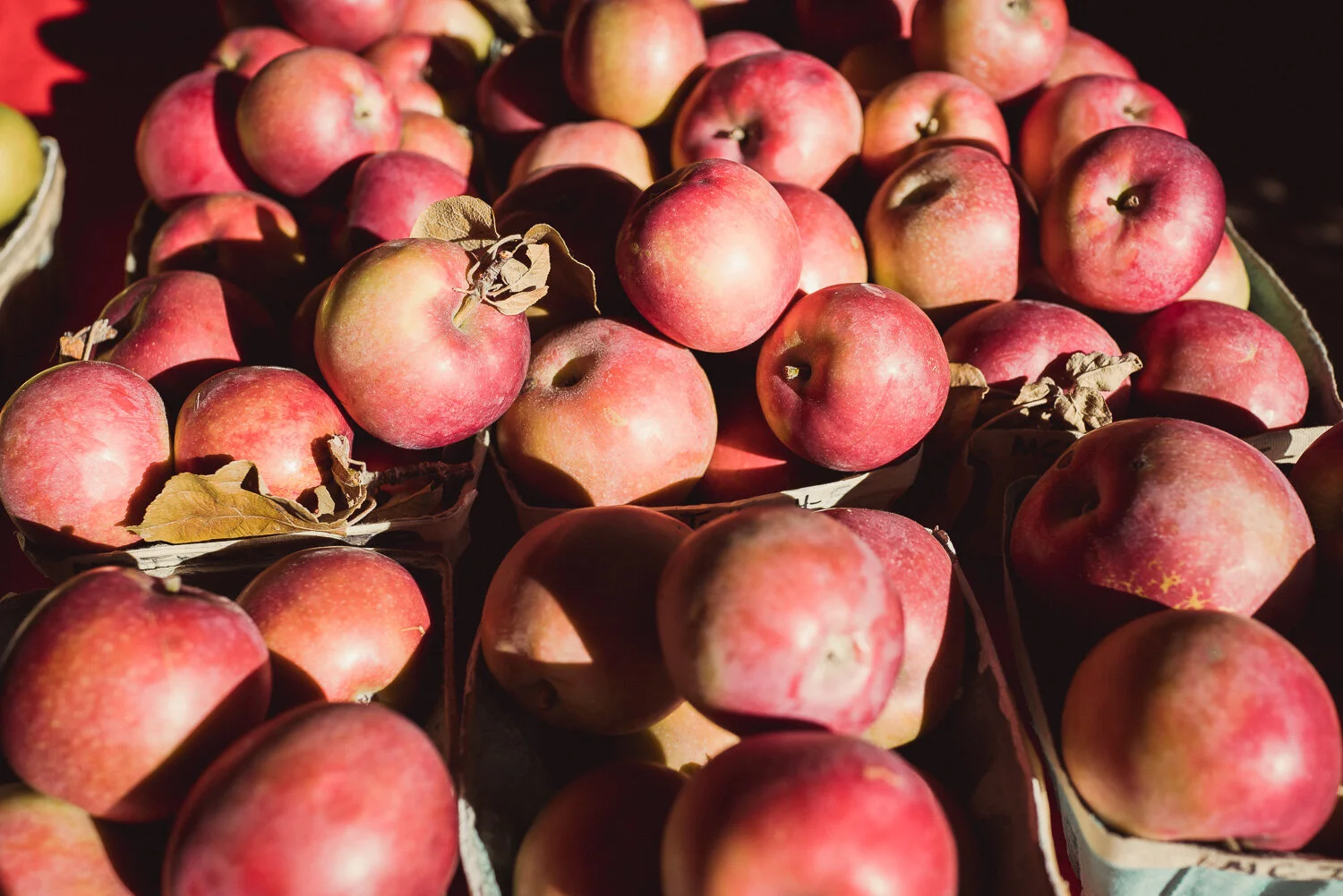 Sunday at the Apple Farm and Beach