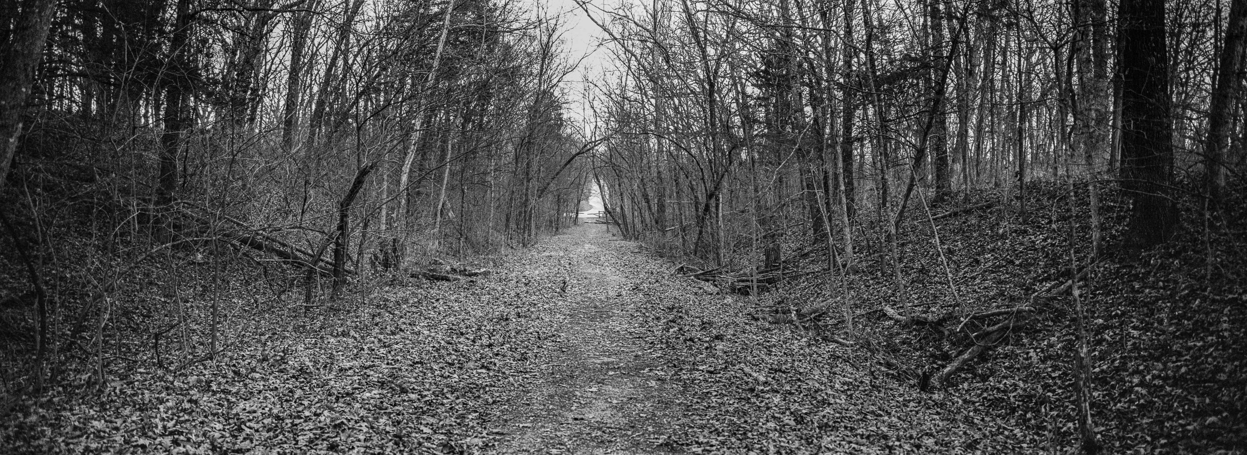 Fuji TX-1, 45mm. Shot on Portra 400 and converted to B&amp;W in Lightroom.