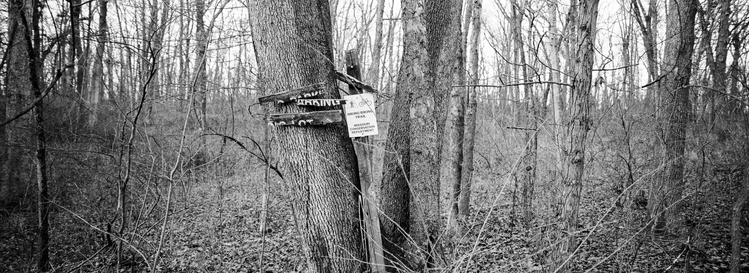 Signs. Fuji TX-1, 45mm. Shot on Portra 400 and converted to B&amp;W in Lightroom.