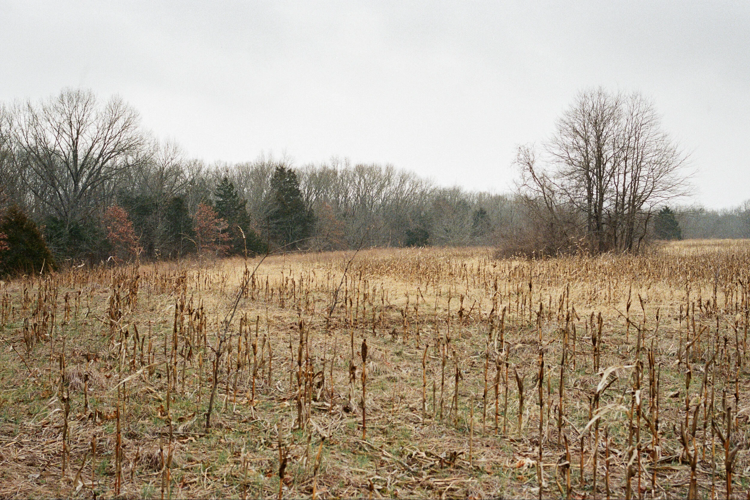 More Hiking and an Old Cemetery