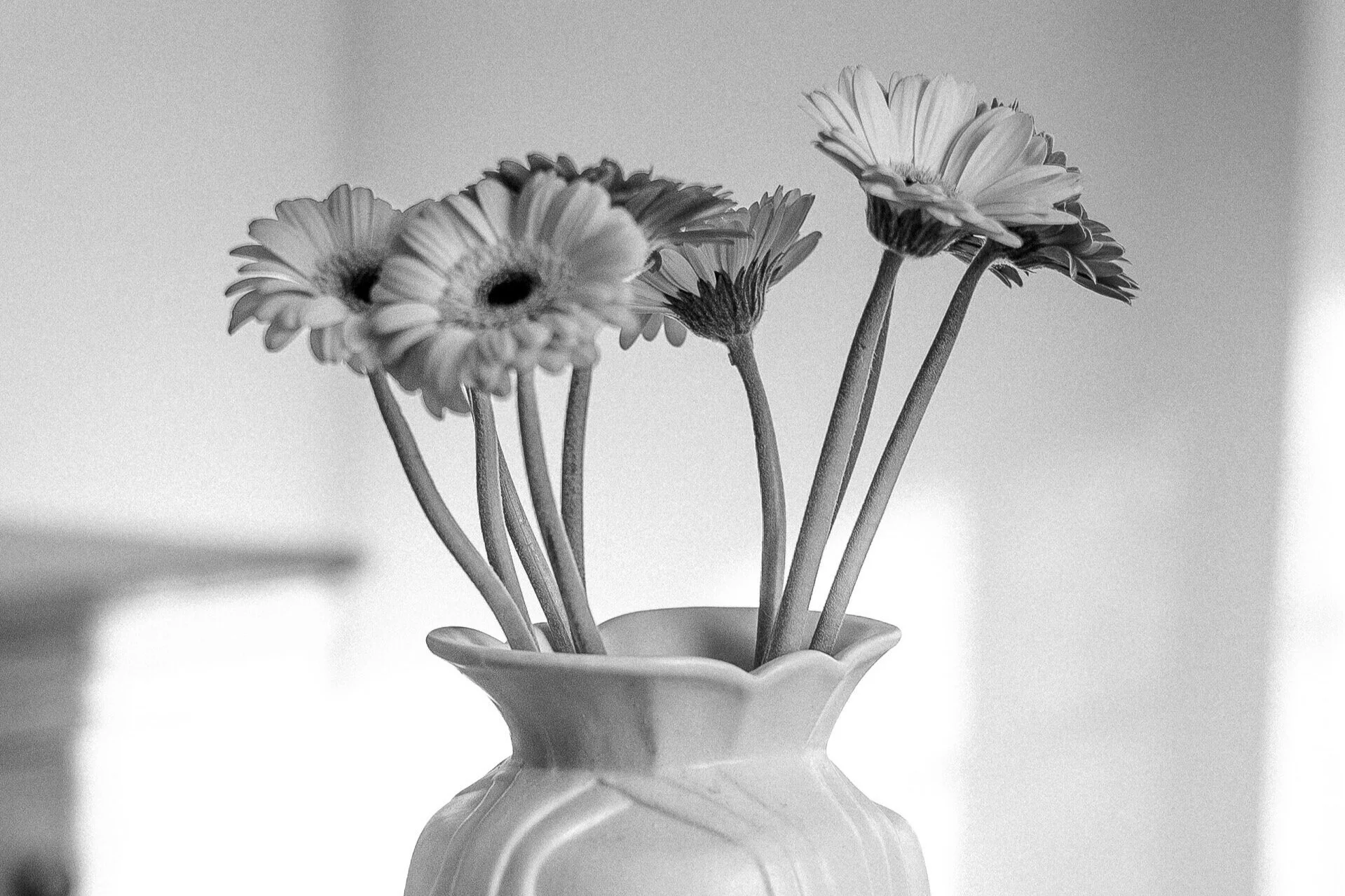 Black &amp; White Vignettes