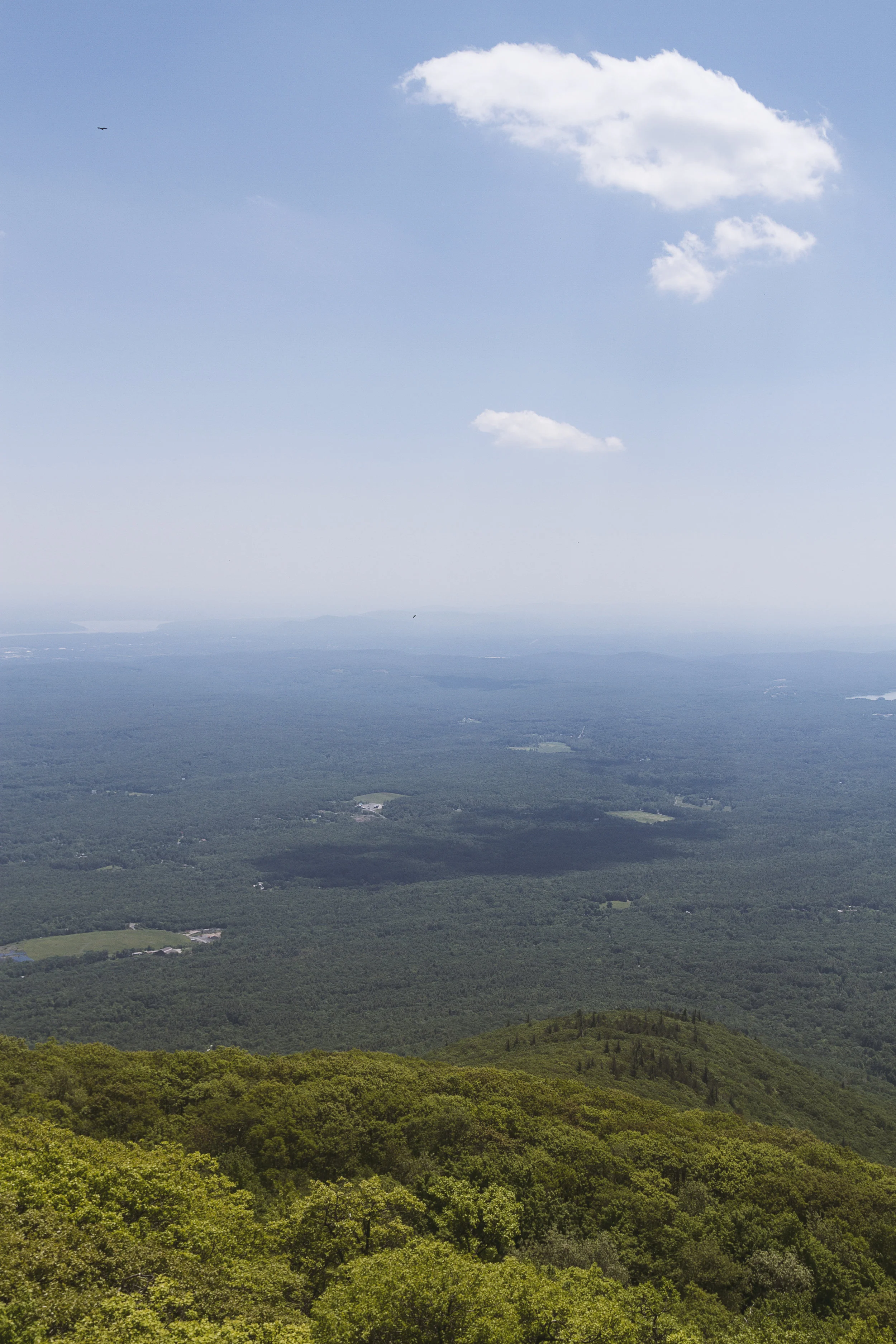 _MG_2486-Edit.jpg