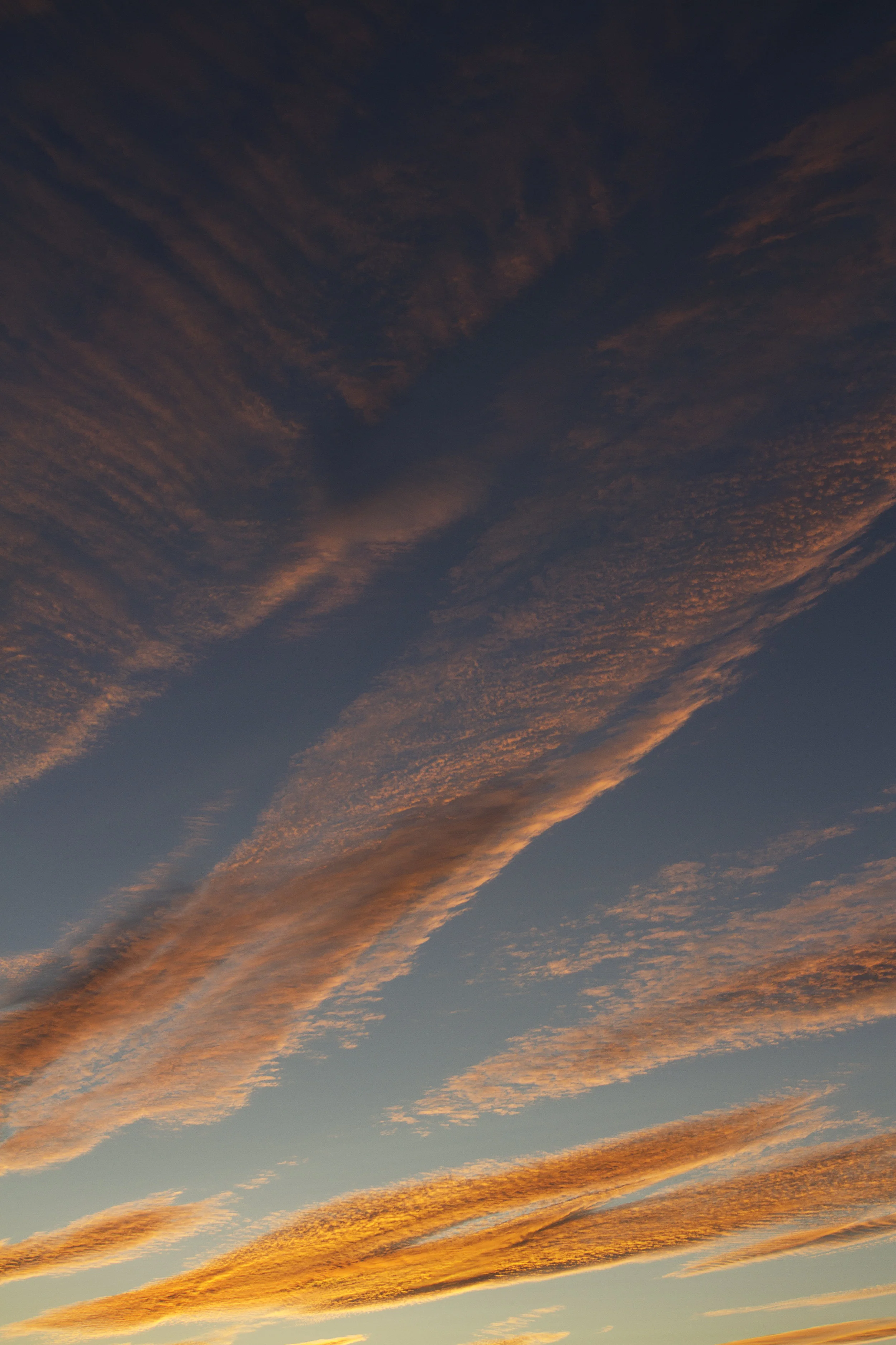 _MG_5070-Edit.jpg