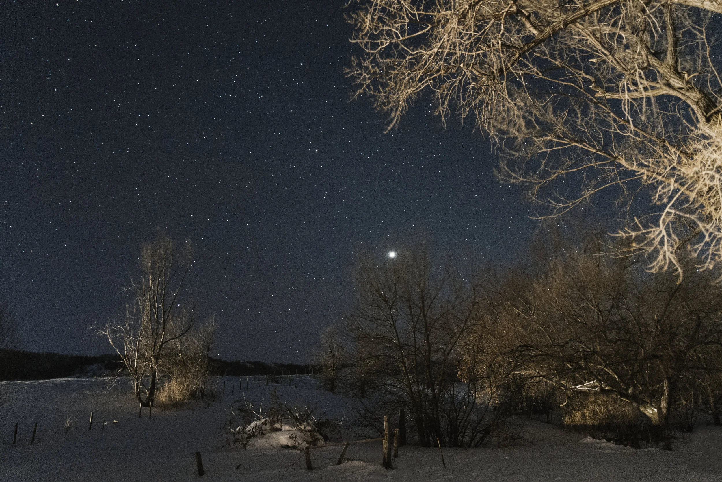 _MG_9875-Edit.jpg