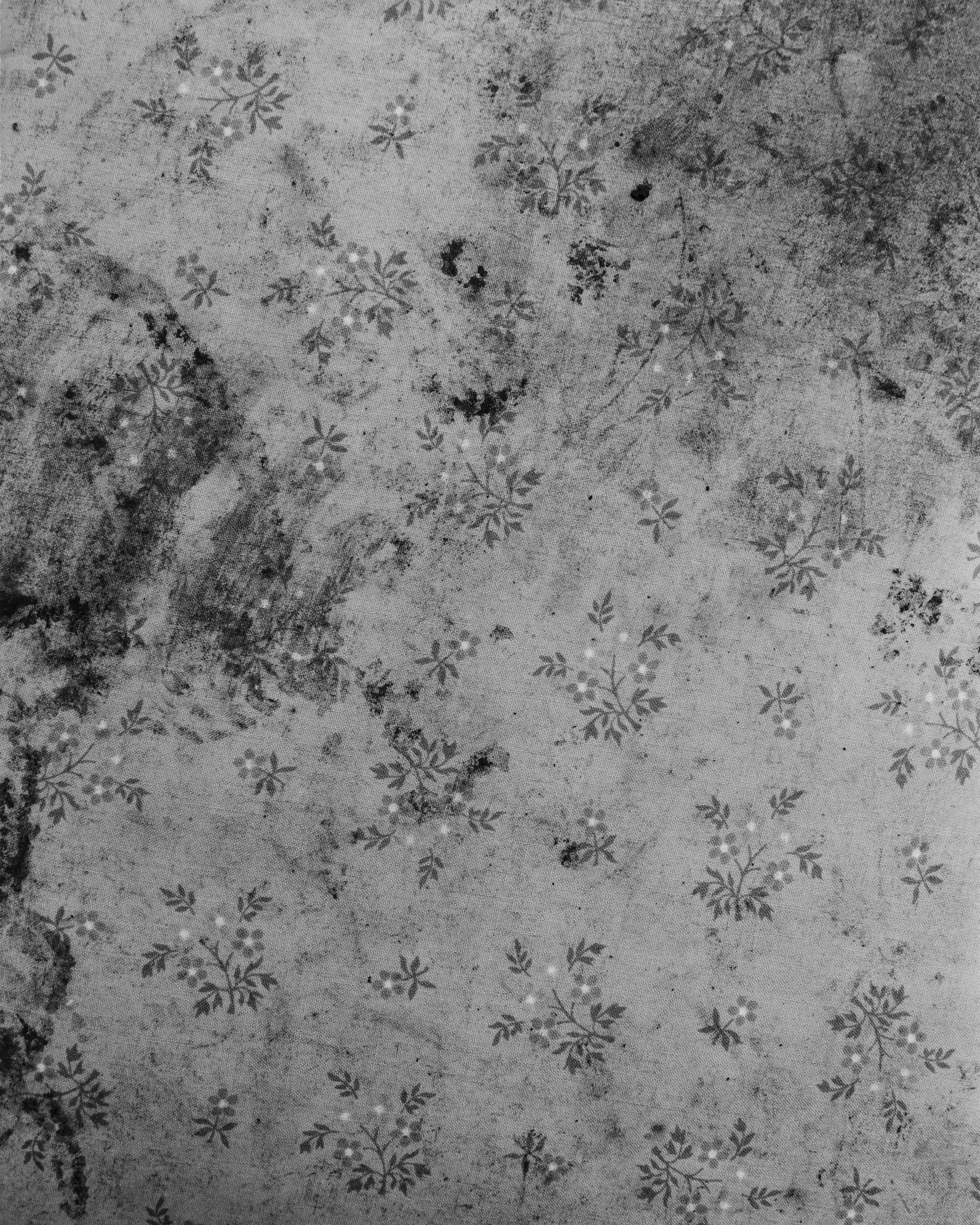 sag_texture_1_working-Edit.jpg