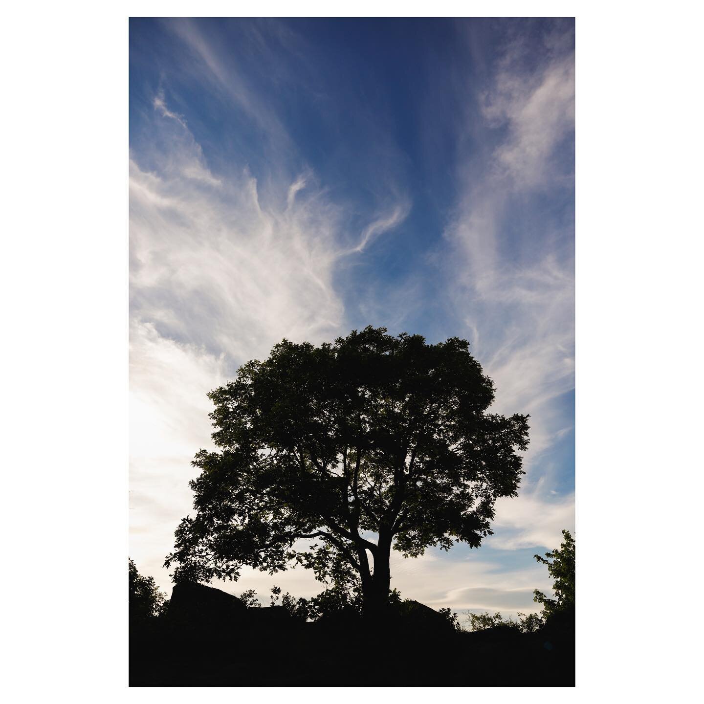 The Storm King.
.
.
.
.
.
.
.
#tree #mountain #stormking #imsweaty #catskills #catskillsmountains #newyork #ny #stateparks #sky #clouds #wind #blue #azul #whisp #hiking #hike #nature #naturephotography #silhouette #light #sunset #legshurt #weargoodsh