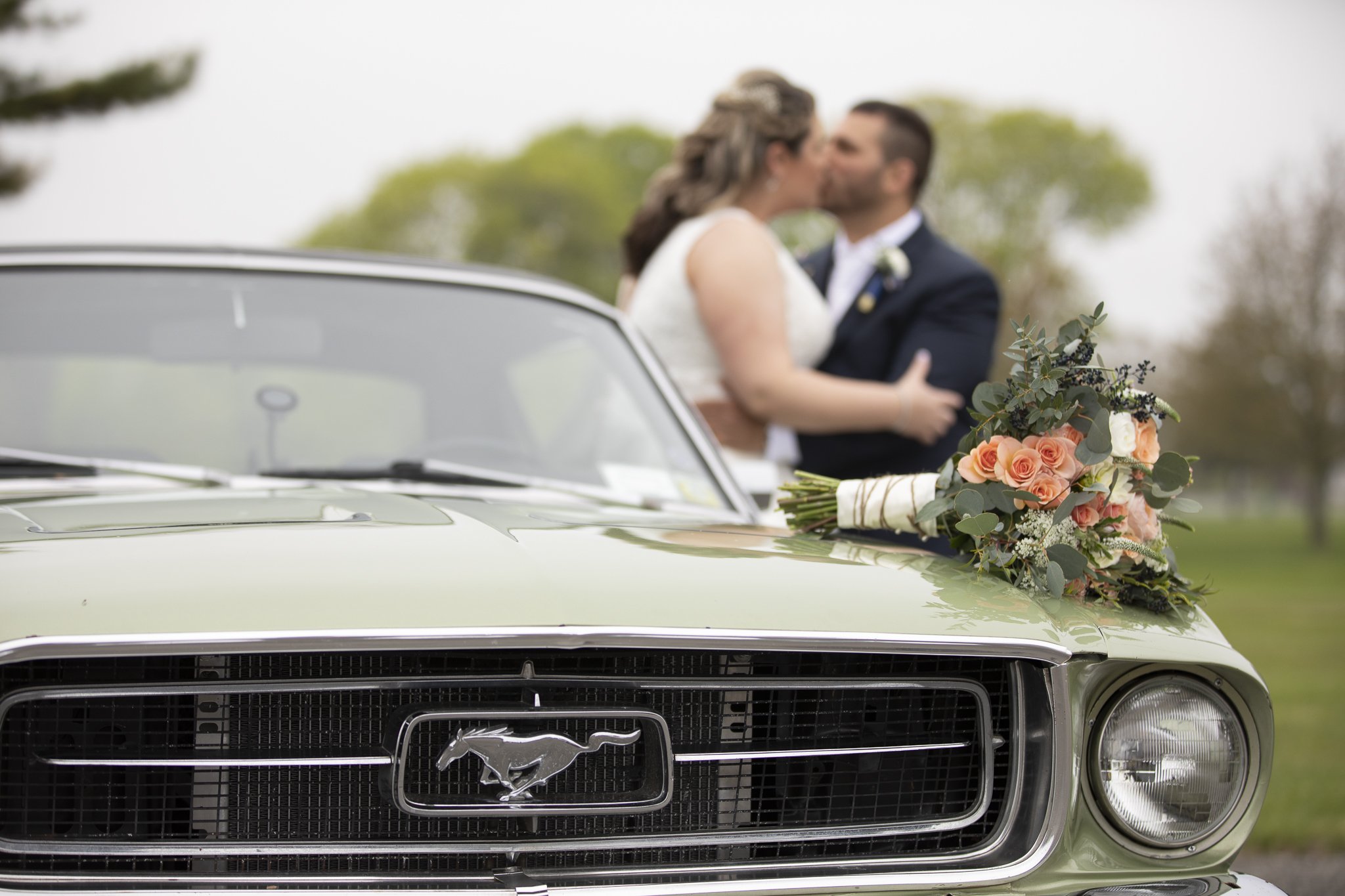 CDS Portfolio-37.jpg