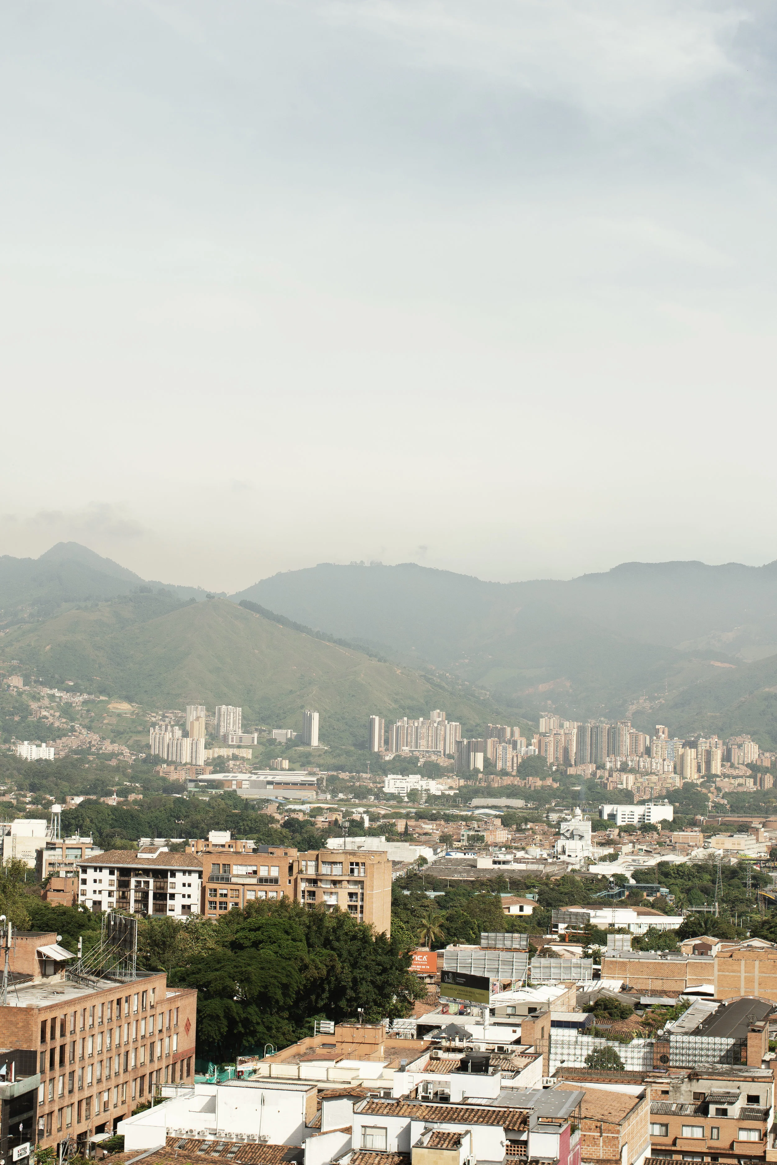 medellin-2.jpg