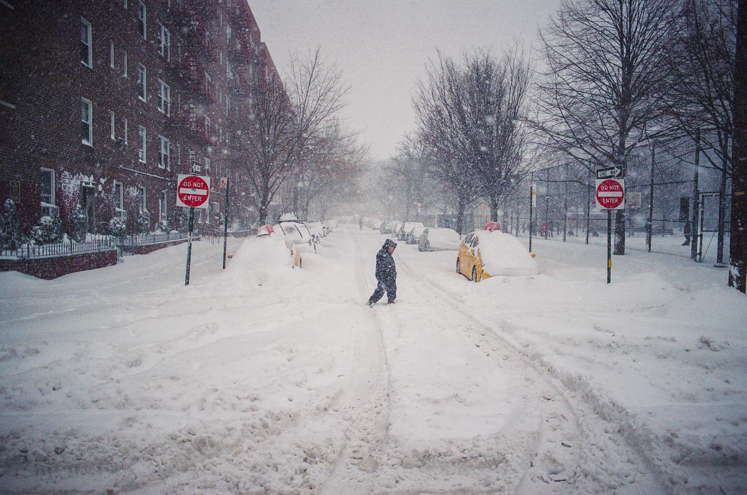 Elmhurst, Queens, NY