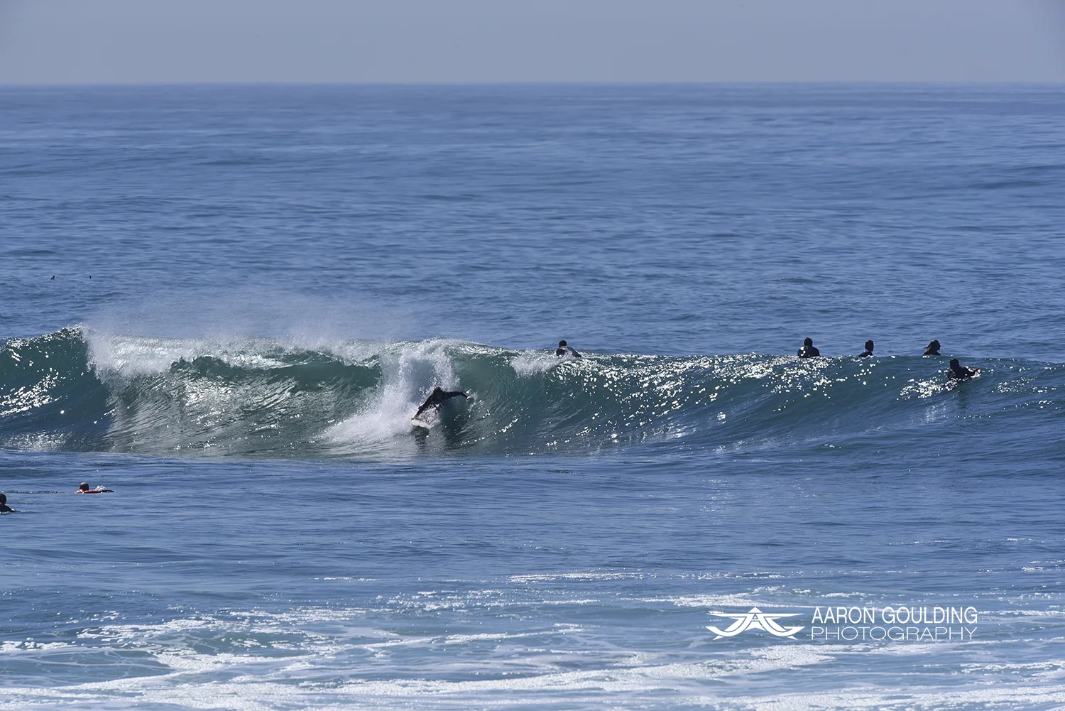 _DSC6896.jpg
