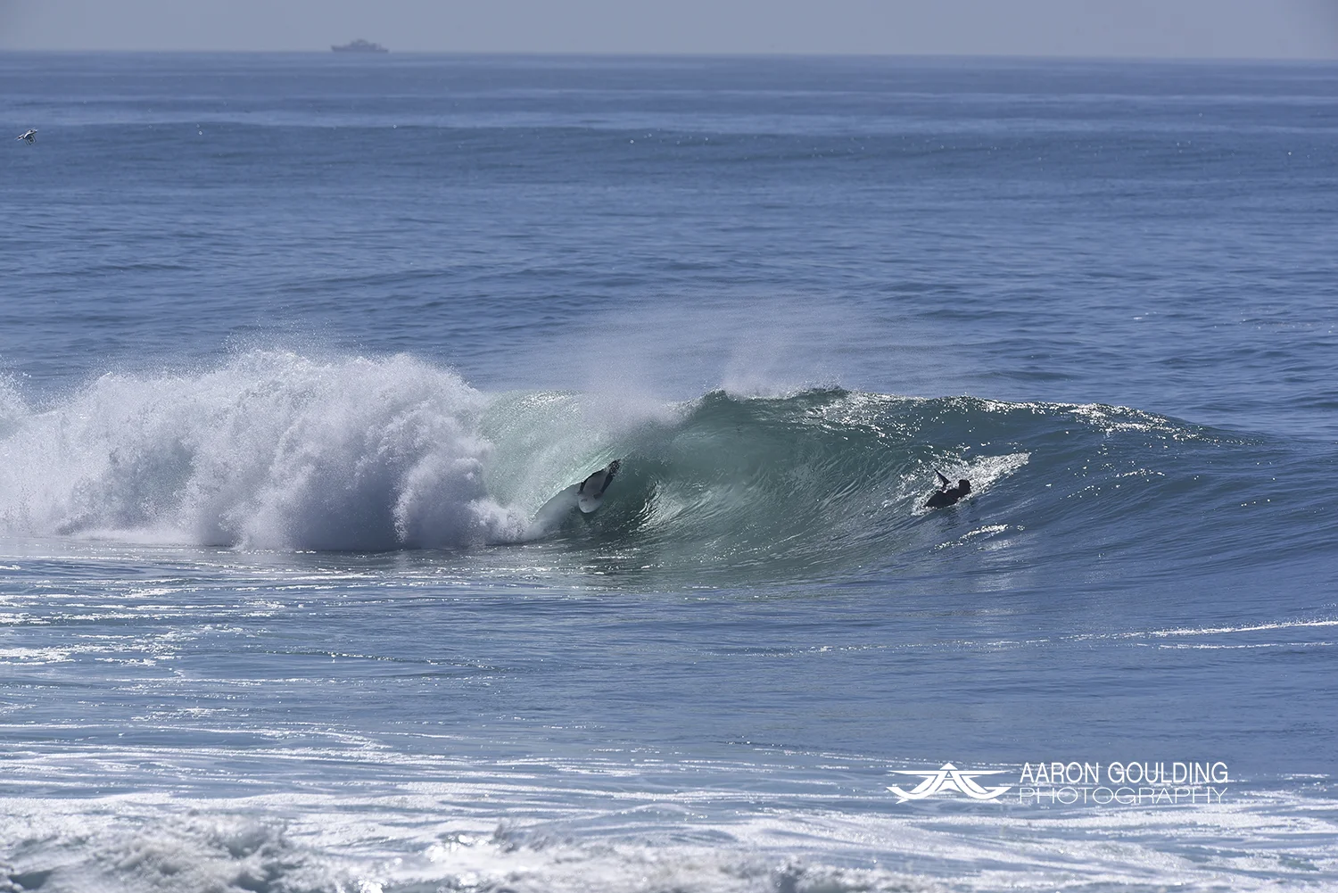 _DSC7064.jpg