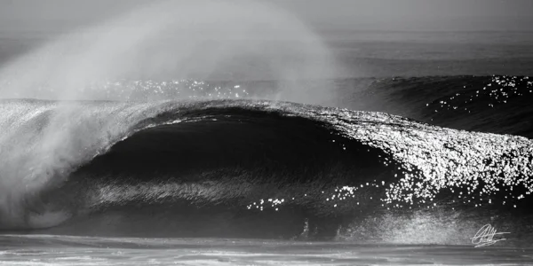 Newport Point, Summer 2015