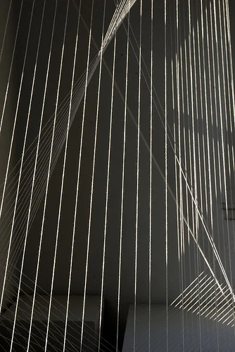 3307936656_88378ef2e8.jpg