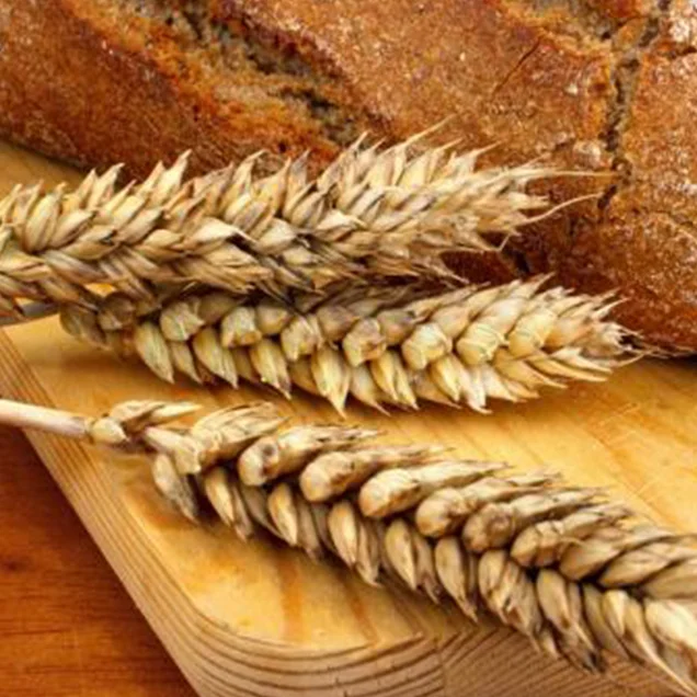 purefood-gluten.jpg