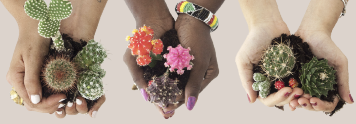 Screenshot 2024-08-23 at 4.26.24 PM.png