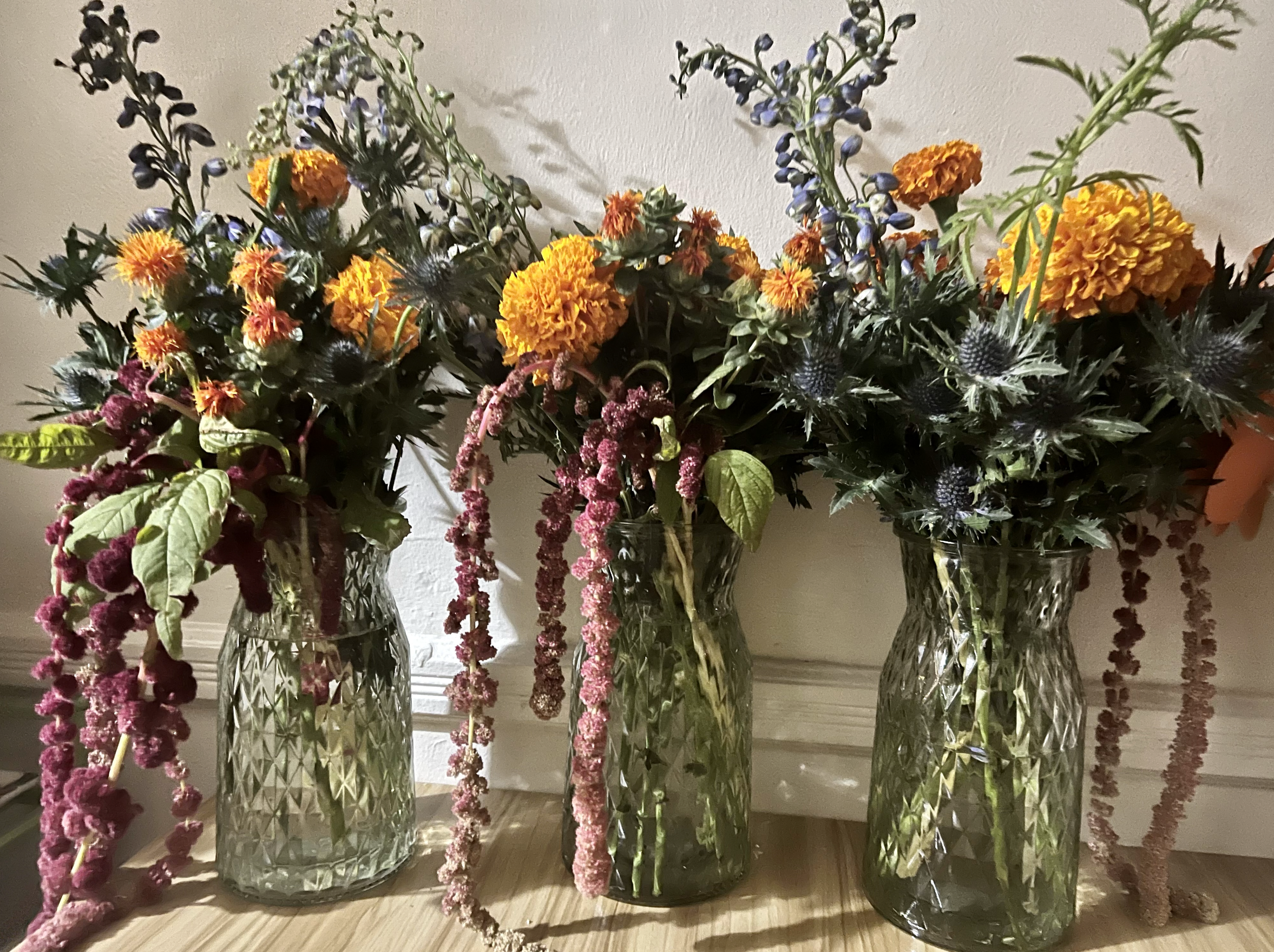 Screenshot 2024-08-23 at 10.14.26 PM.png