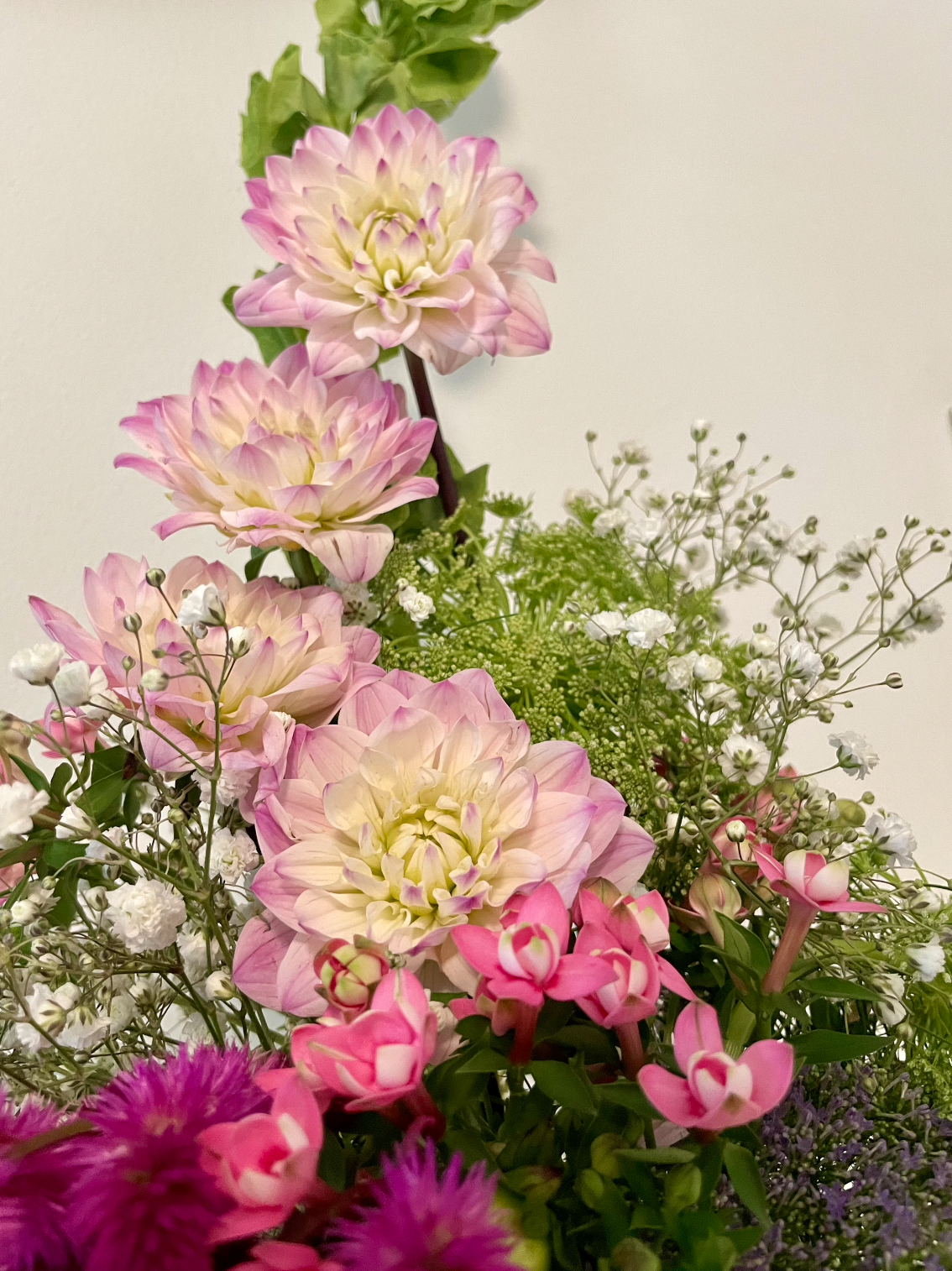 Screen Shot 2022-10-23 at 12.03.16 AM.png