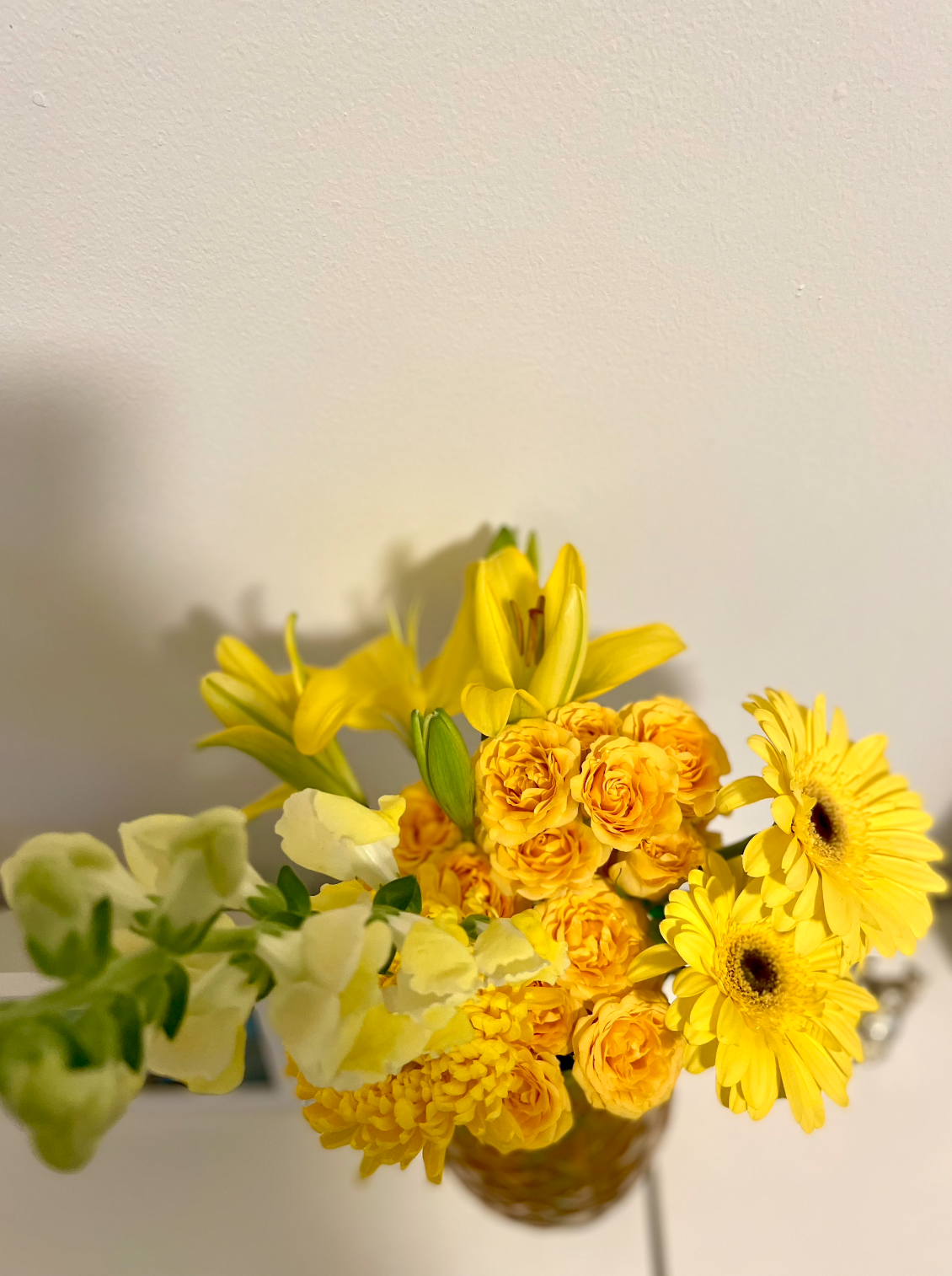 Screen Shot 2022-10-23 at 12.02.14 AM.png