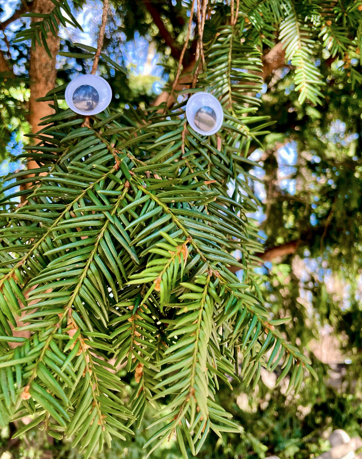 Screen Shot 2022-10-23 at 12.04.59 AM.png