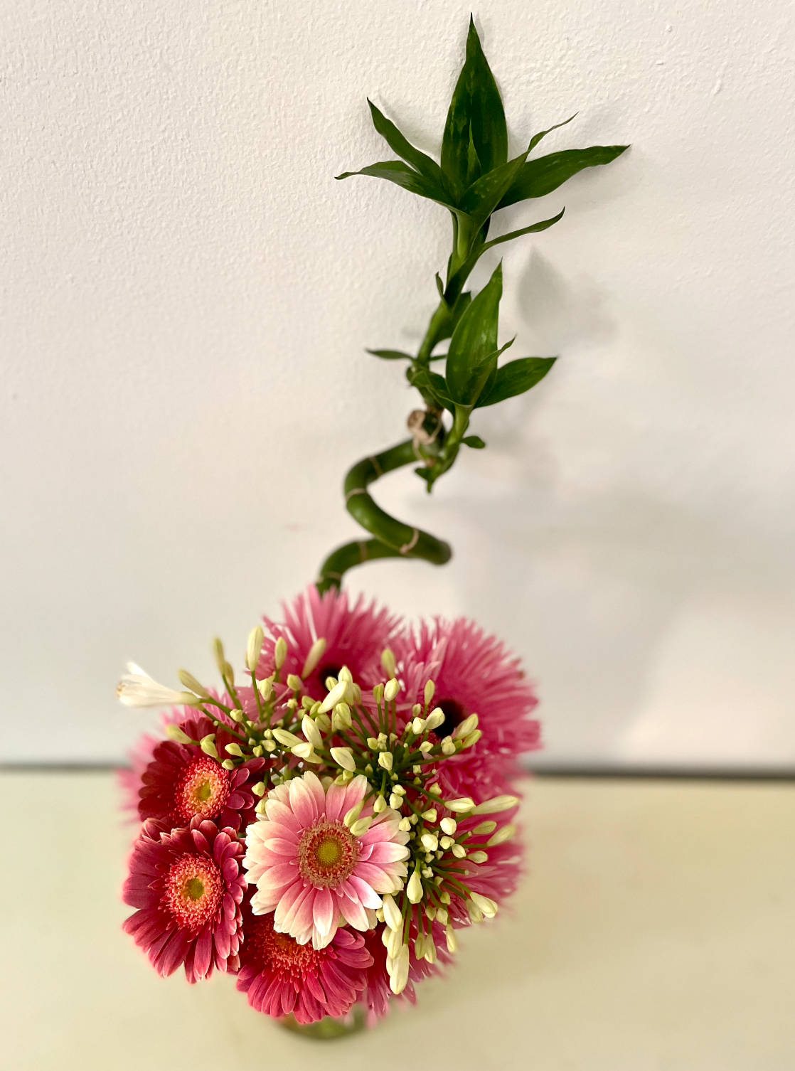 Screen Shot 2022-10-23 at 12.02.58 AM.png