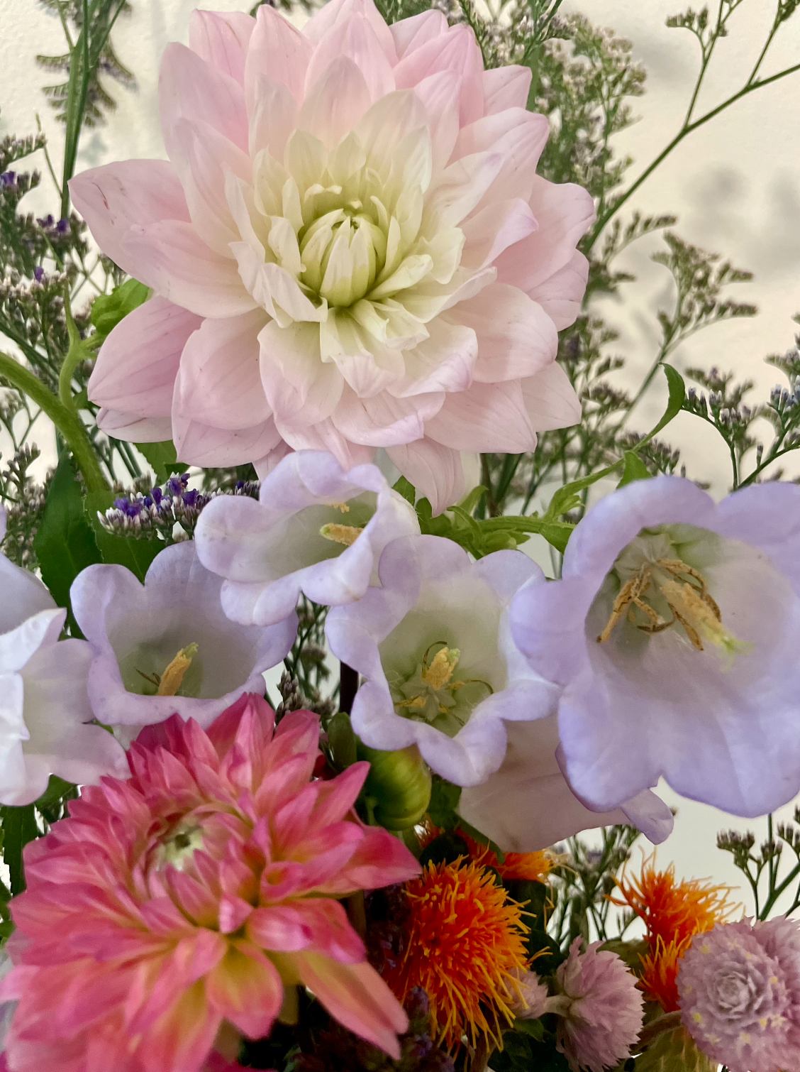 Screen Shot 2022-10-23 at 12.02.36 AM.png