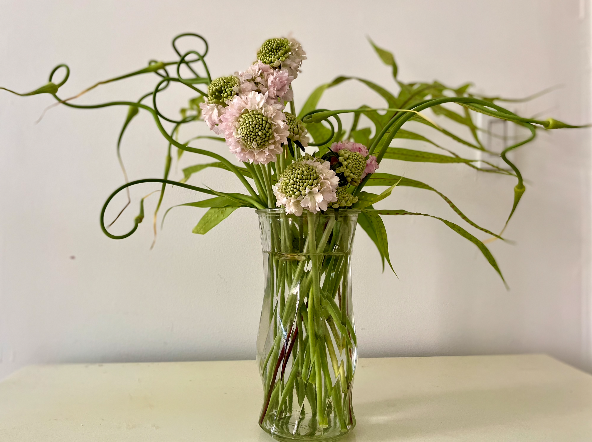 Screen Shot 2022-10-23 at 12.07.00 AM.png