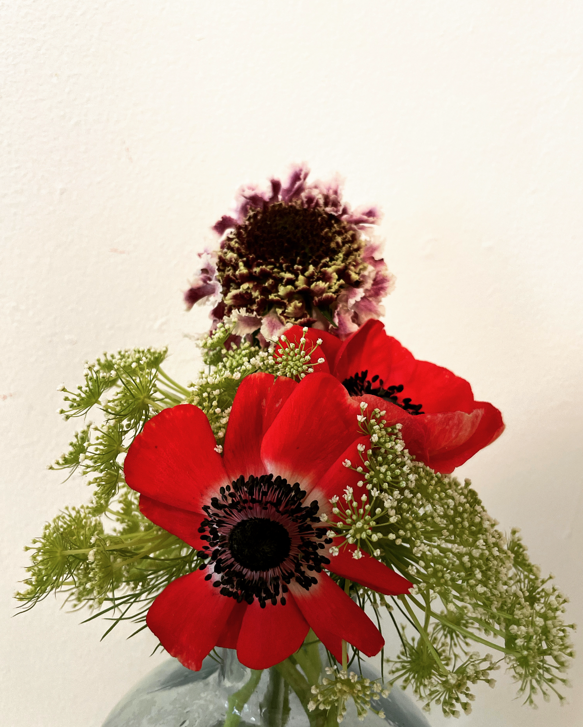 Screen Shot 2022-10-23 at 12.06.52 AM.png