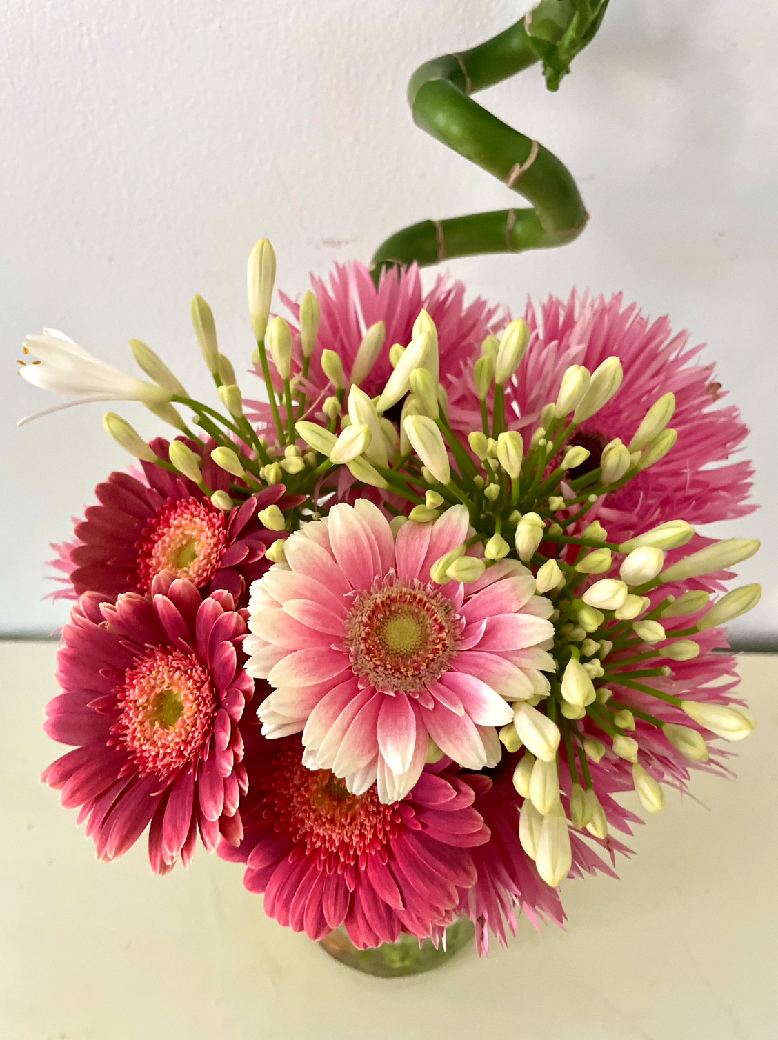 Screen Shot 2022-10-23 at 12.03.07 AM.png