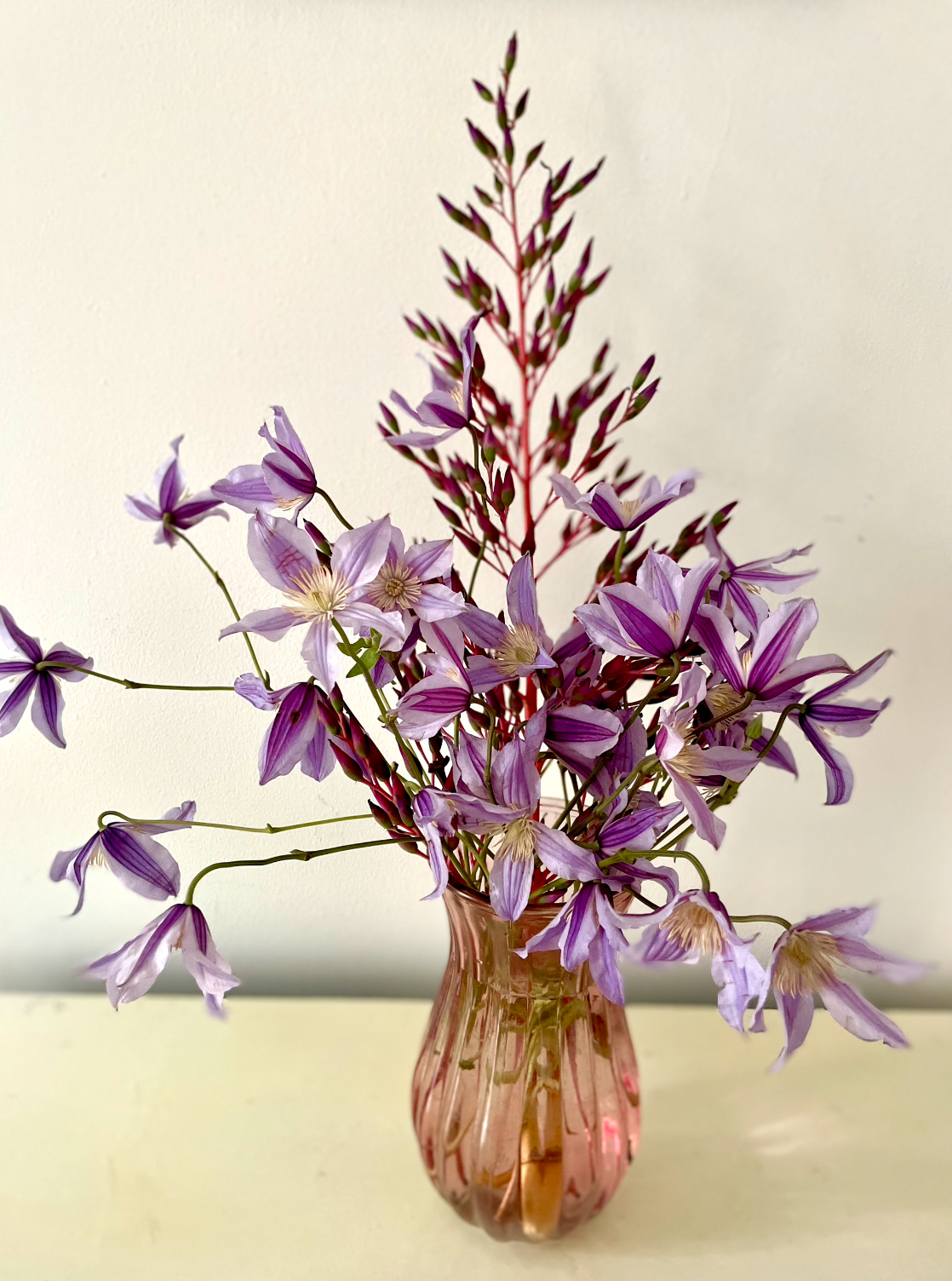 Screen Shot 2022-10-23 at 12.04.13 AM.png