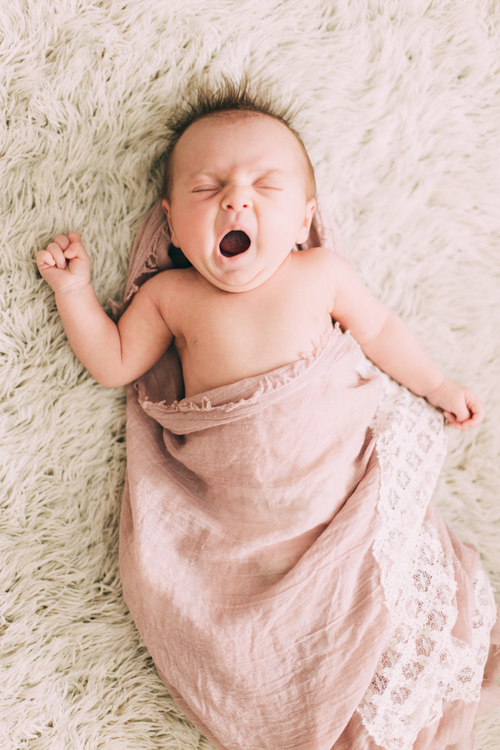 jillian-vanzytveld_newborn-photography_grand-rapids-michigan_01.jpg