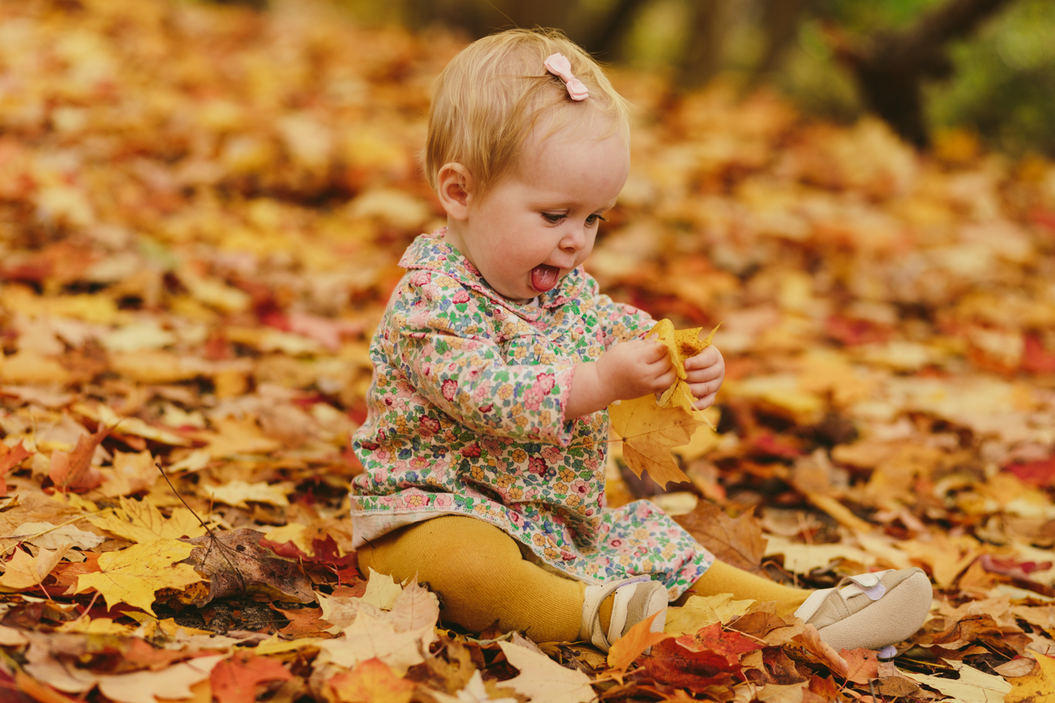 Jillian VanZytveld Photography Grand Rapids MichiganLifestyle Family Portraits 09.jpg