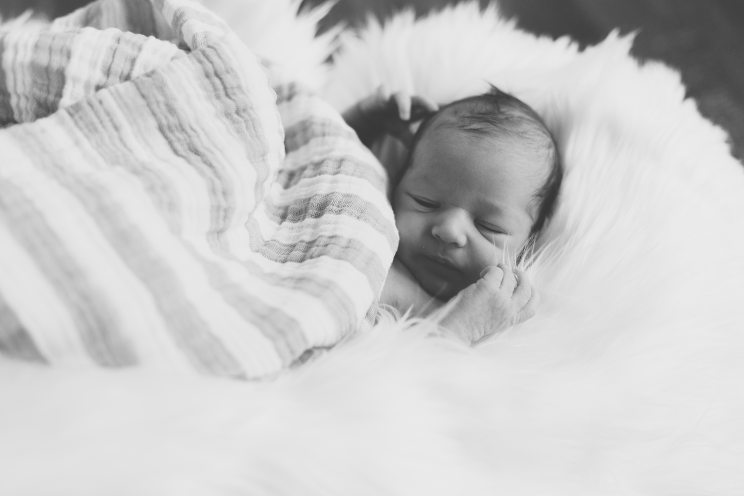 Jillian VanZytveld Photography - West Michigan Newborn Lifestyle Portraits 11.jpg