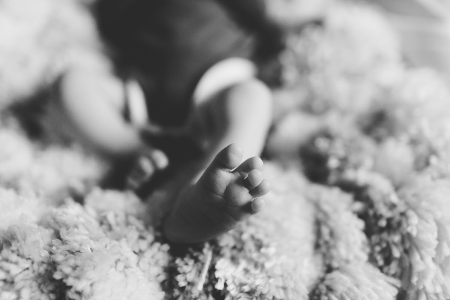 Jillian VanZytveld Photography - West Michigan Newborn Lifestyle Photography - 02.jpg