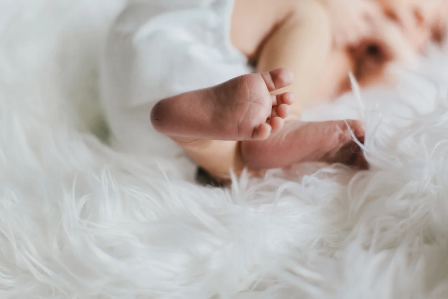 Jillian VanZytveld Photography - Grand Rapids Lifestyle Photography - 05.jpg