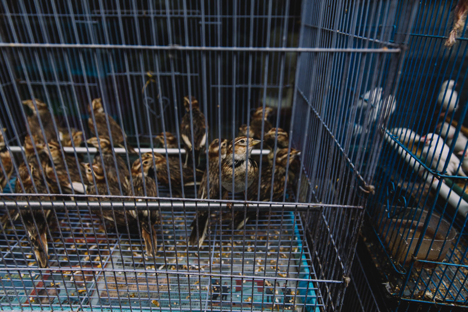 20171116-HK-292.jpg
