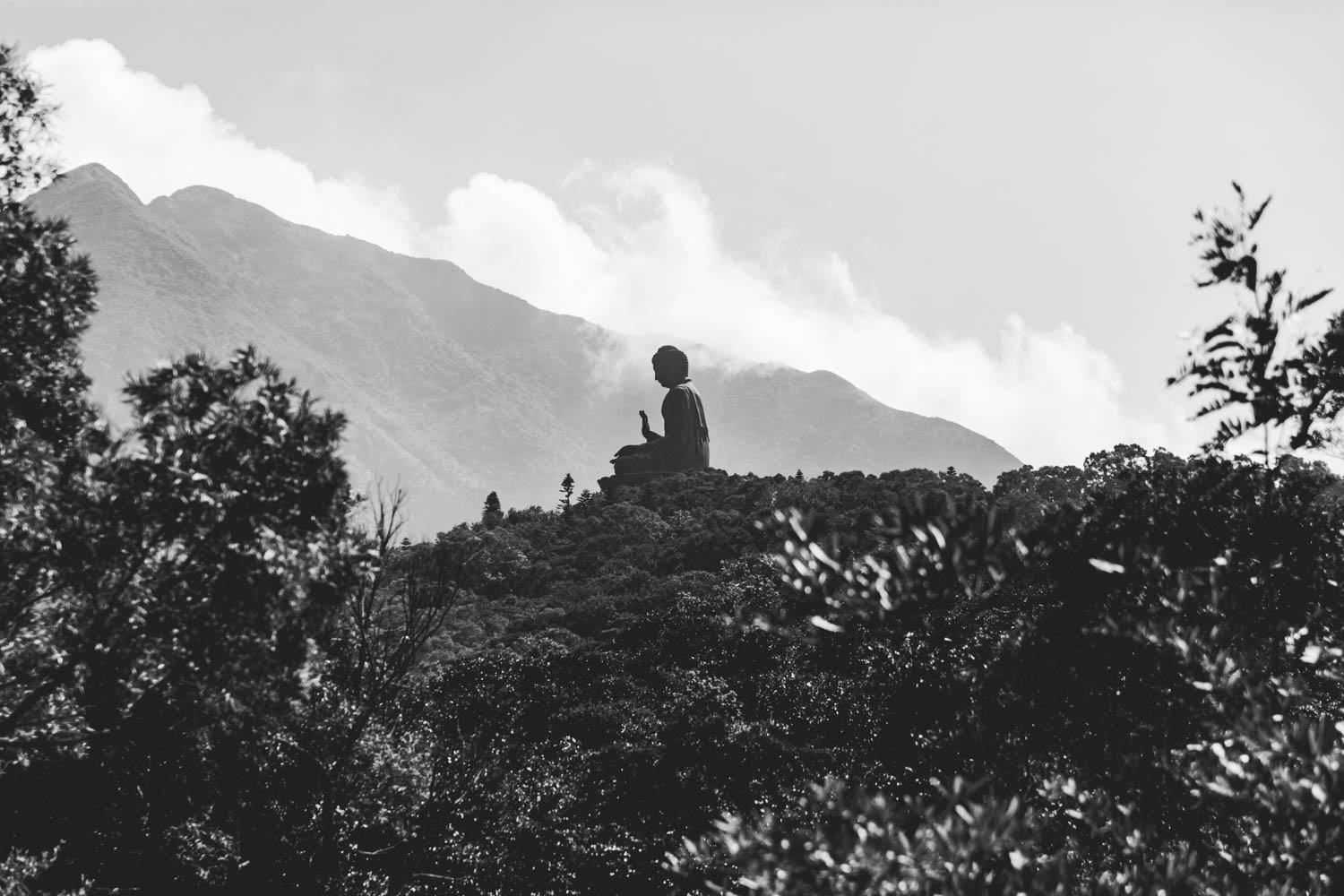 20171117-HK-098.jpg
