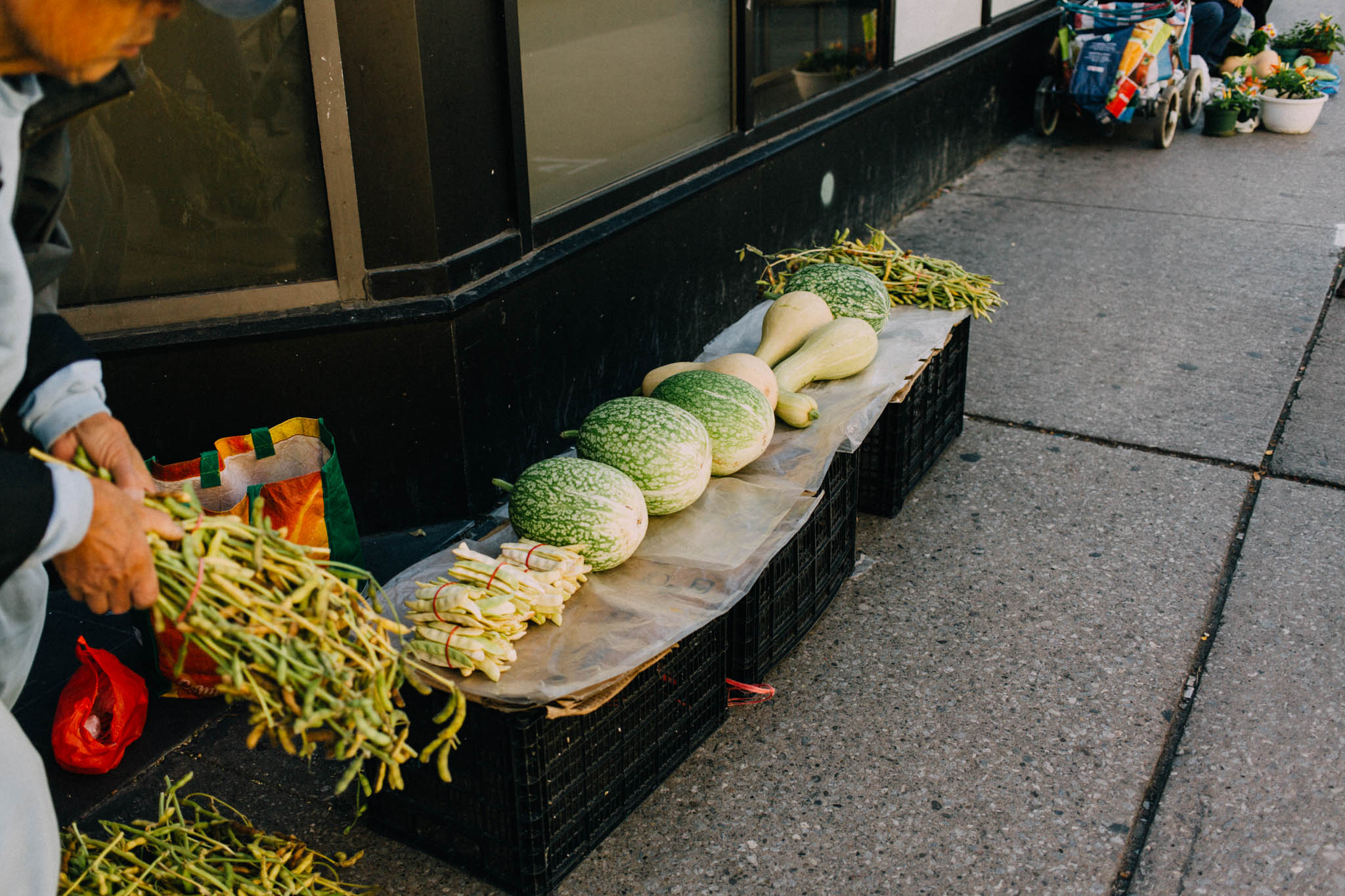 Jillian VanZytveld Photography-Toronto-11.jpg