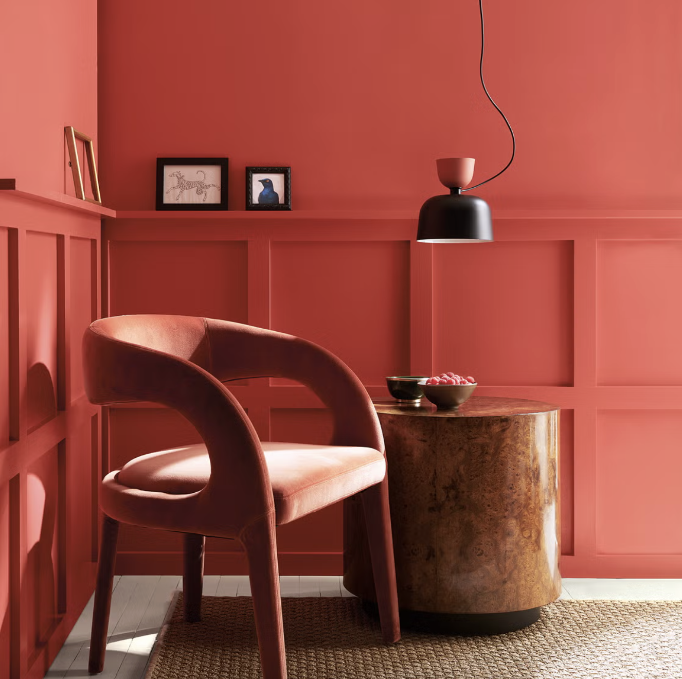 Color of the Year Reportage