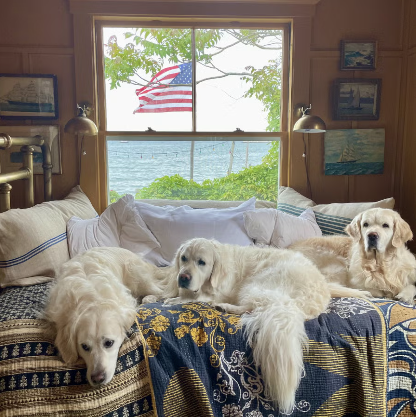 Is the Dog Room the New Luxury Must-Have?
 ELLE DECOR | June 2025  