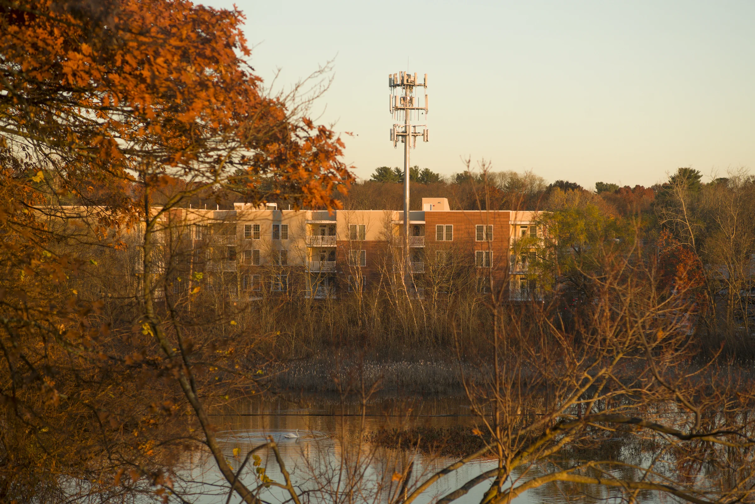L1005855-2.jpg