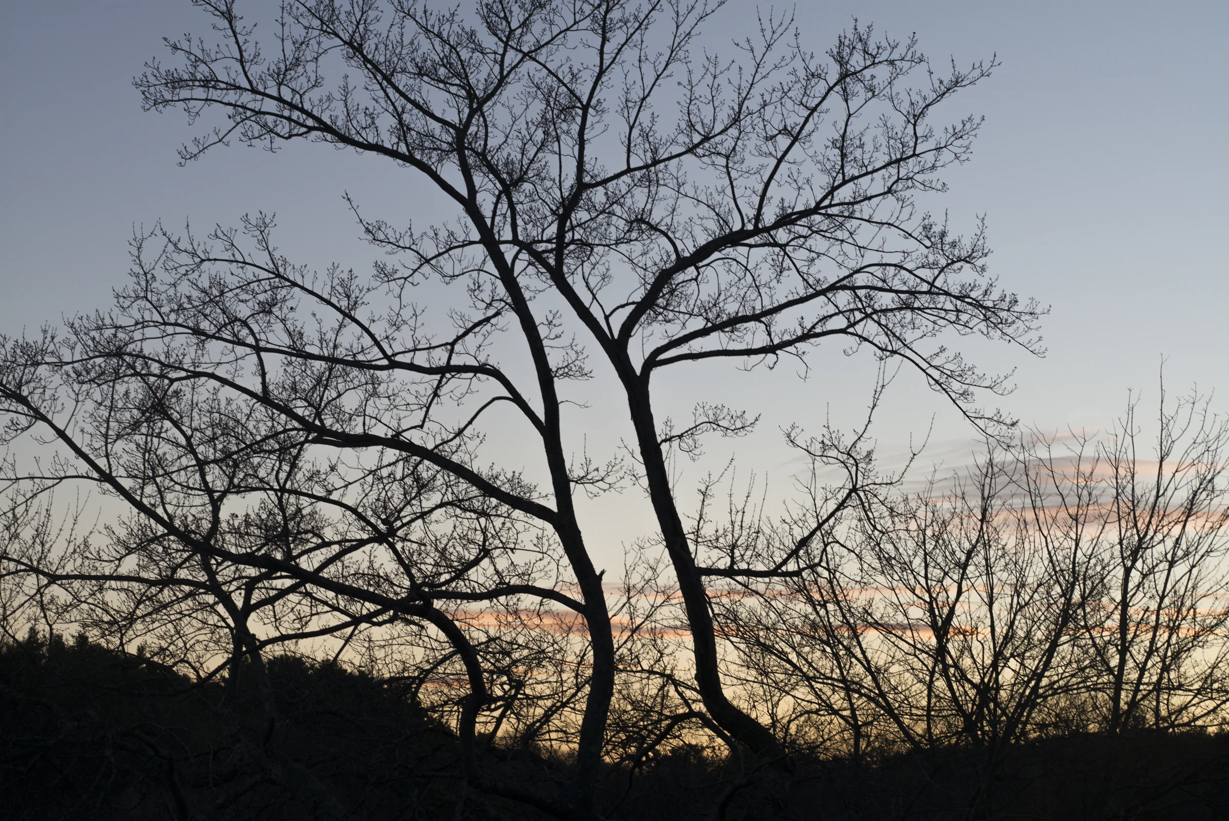 L1005949-2.jpg