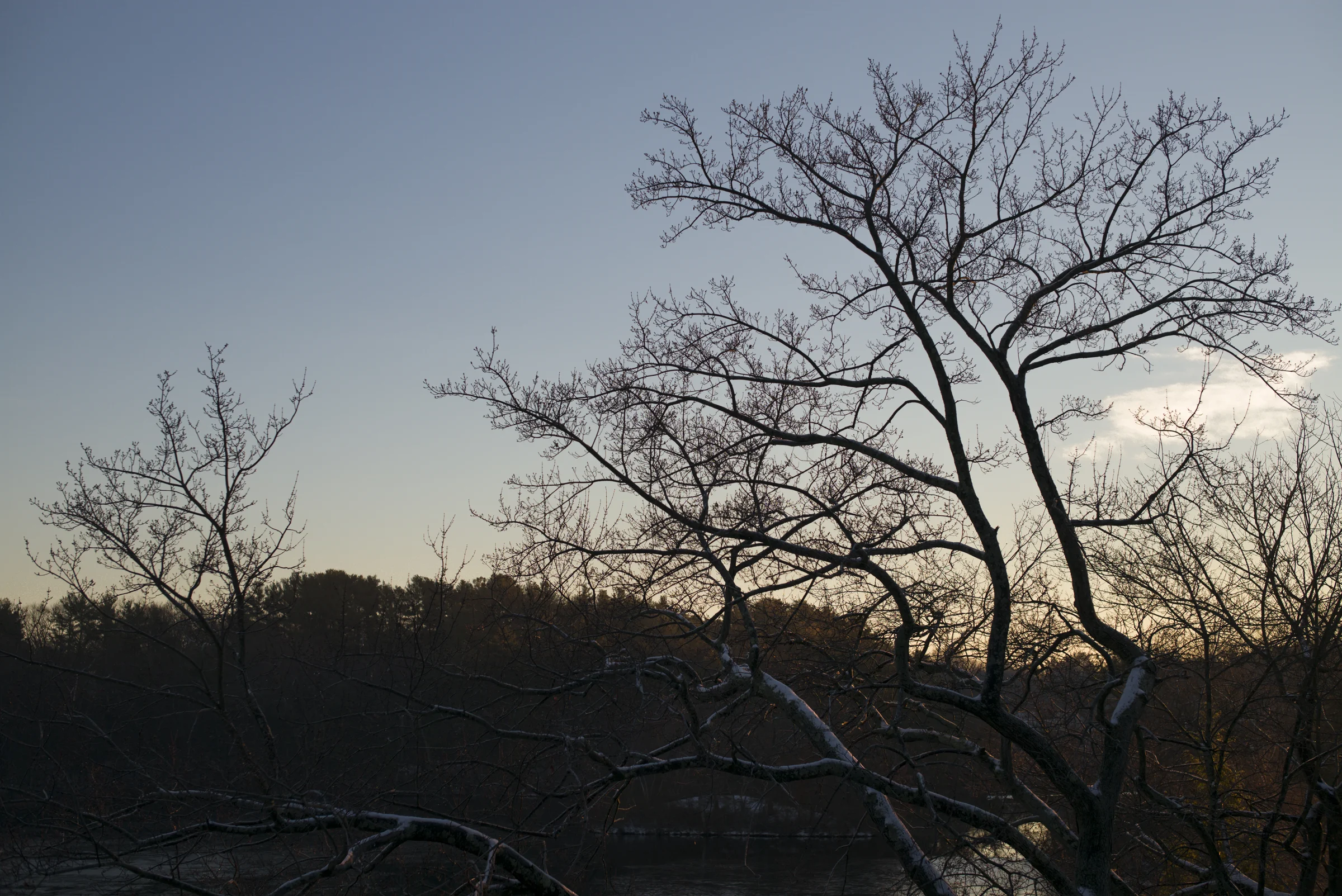 L1006098-2.jpg