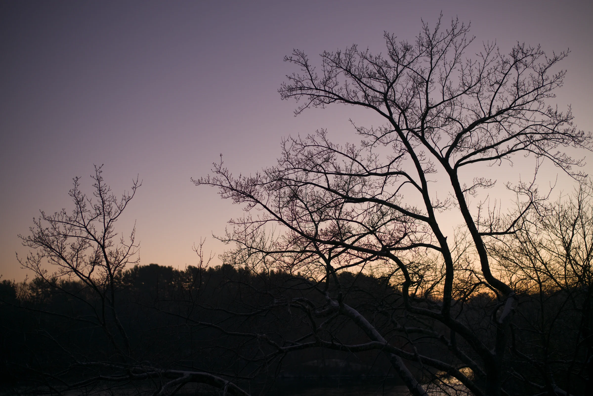 L1006092-2.jpg